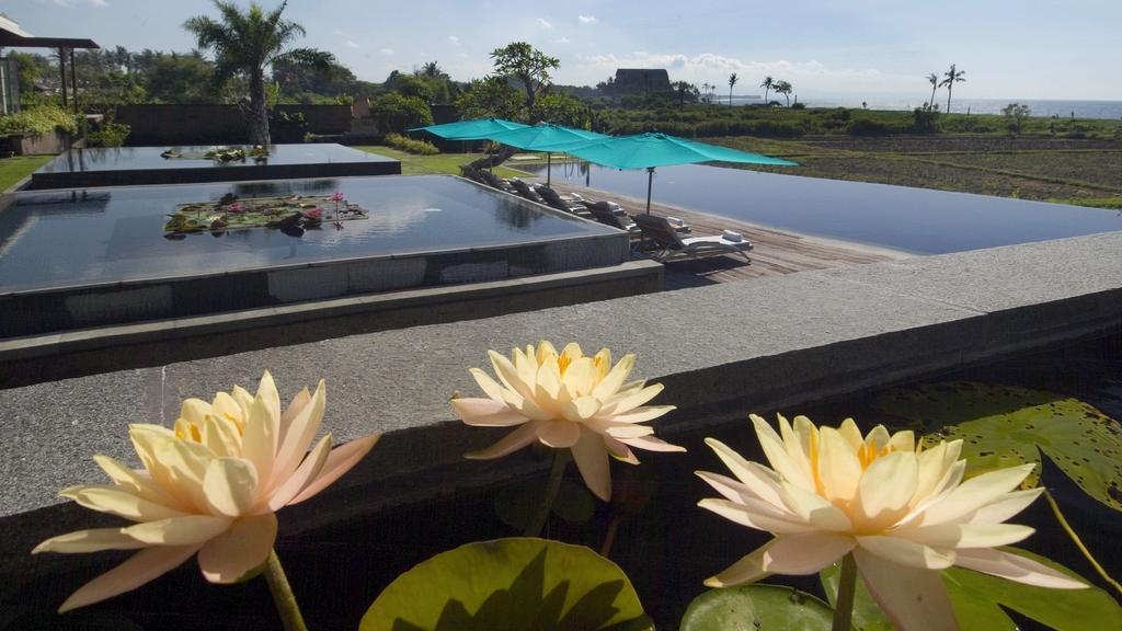Lotus pond in the tropical garden at Sanur Residence, with rice fields and the sea beyond