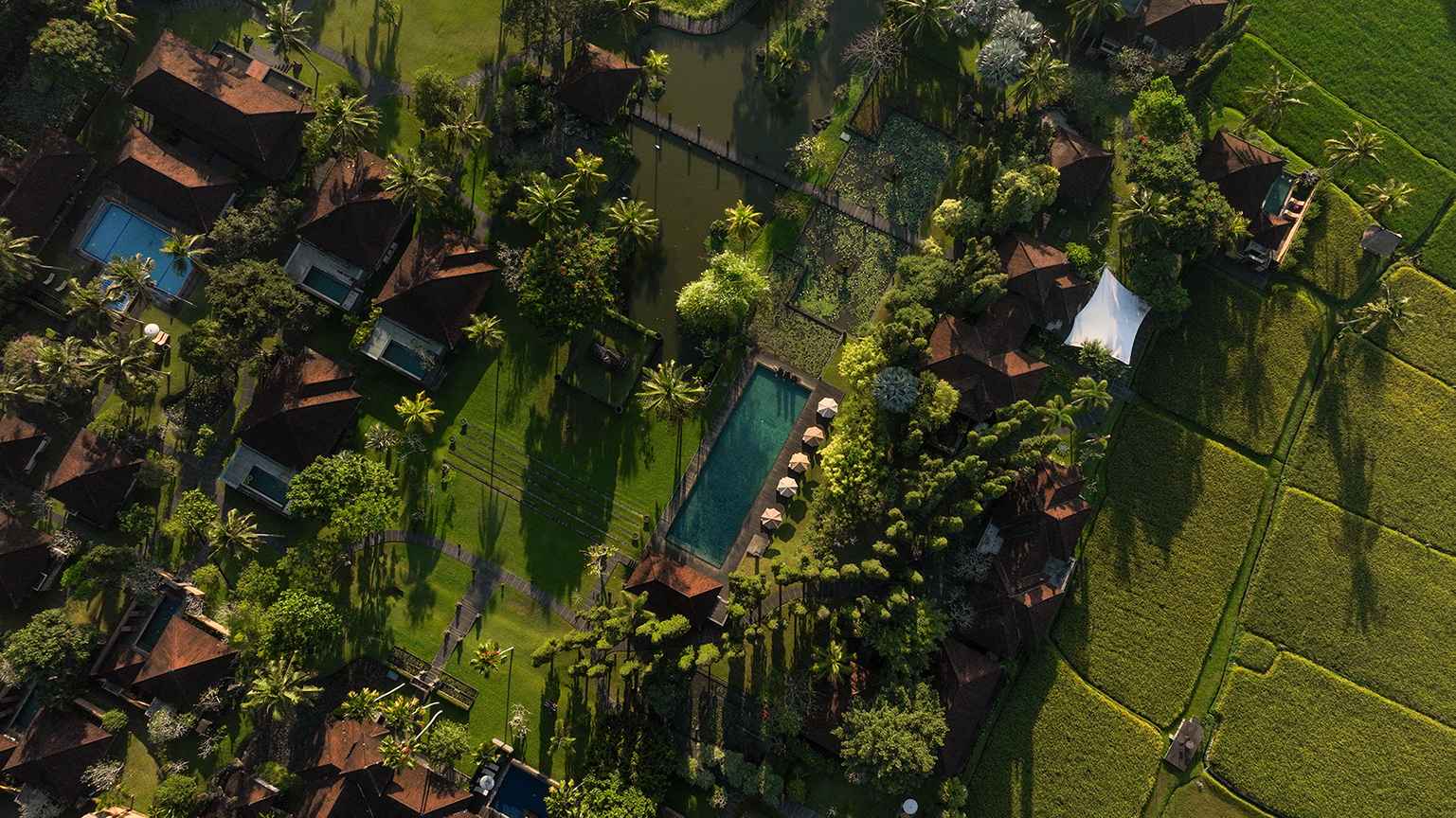 Aerial view of Tanah Gajah's villas, pool, and gardens surrounded by rice fields on the edge of Ubud