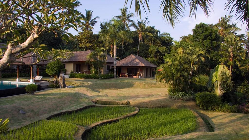 Rice paddy fields in front of The Lotus Residence estate and pavilions in Tabanan, Bali