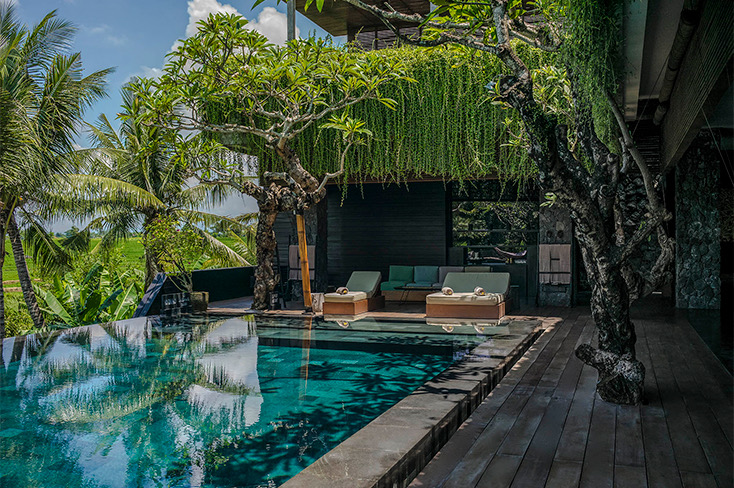 Villa Mana in Babakan, Canggu, with its infinity pool and lawn set among the surrounding rice terraces