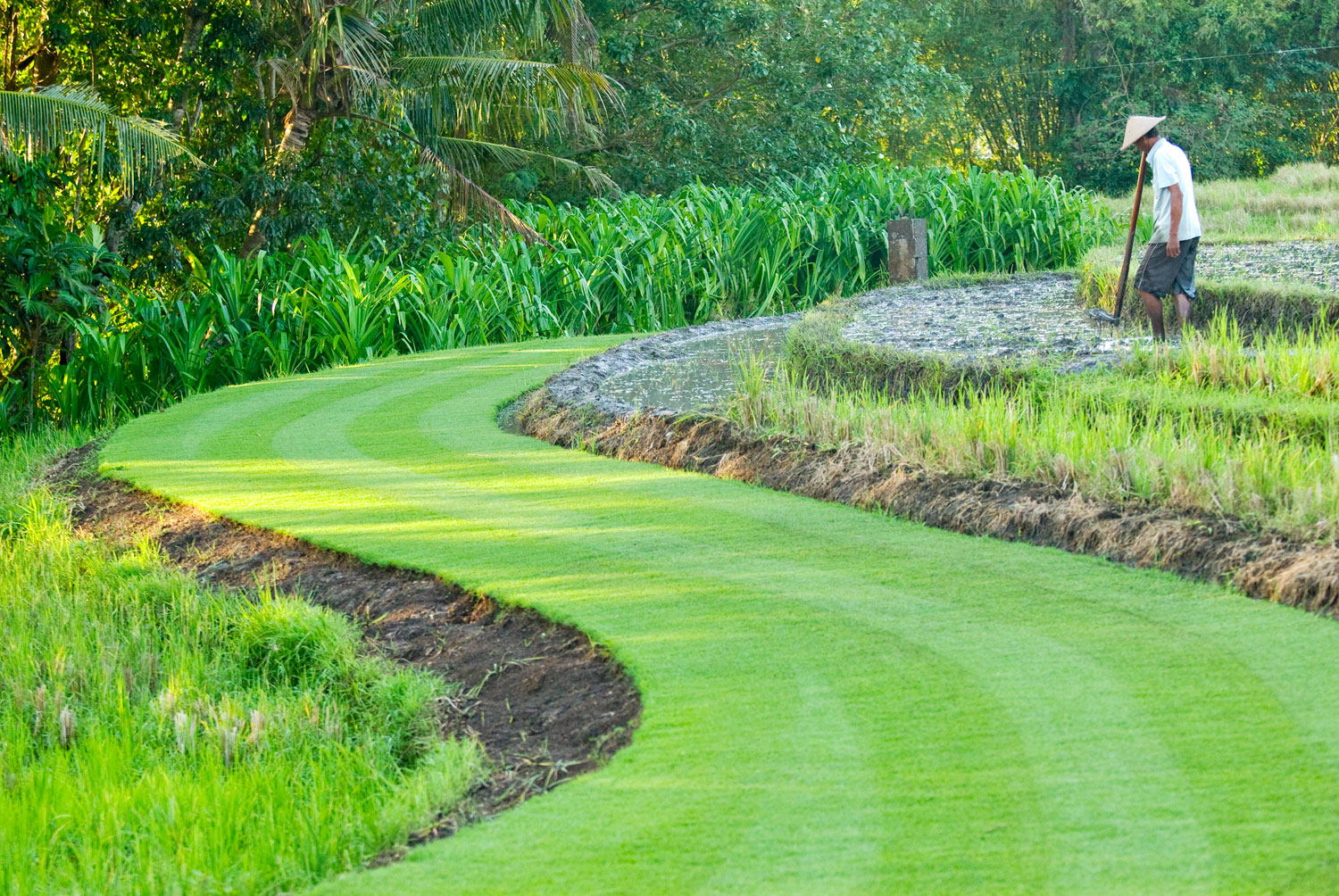 Villa Puri Bawana's terraced lawns and rice-field grounds in Canggu, with wantilan pavilion