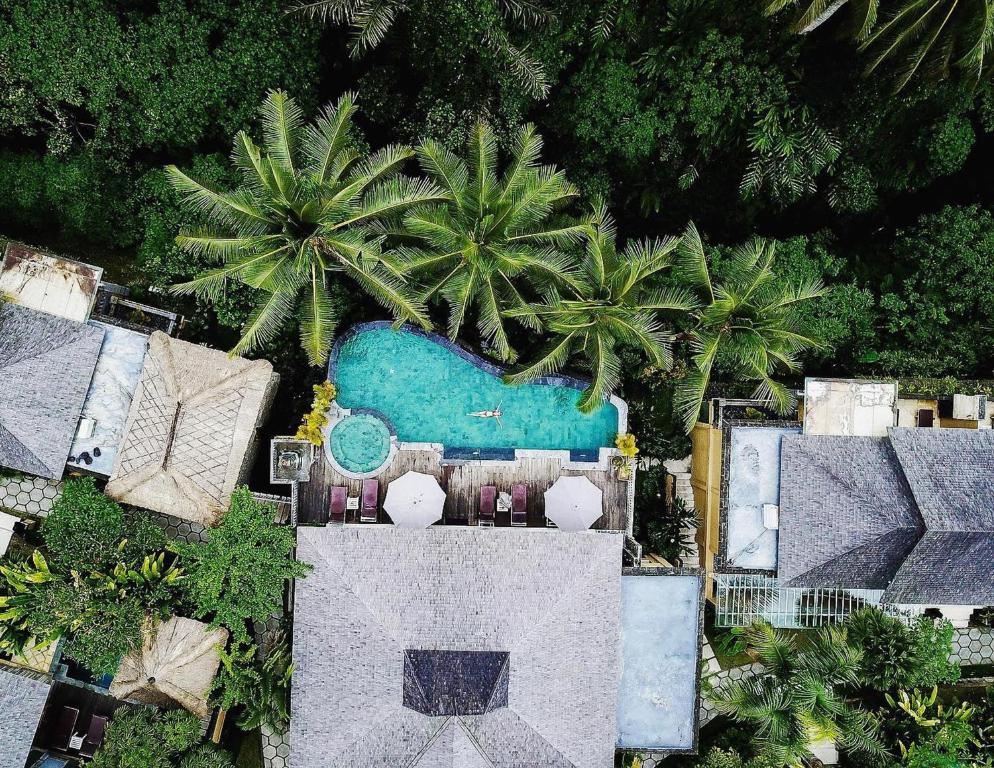 Pool villa and rice-field view at Wapa di Ume Ubud, a boutique resort near central Ubud